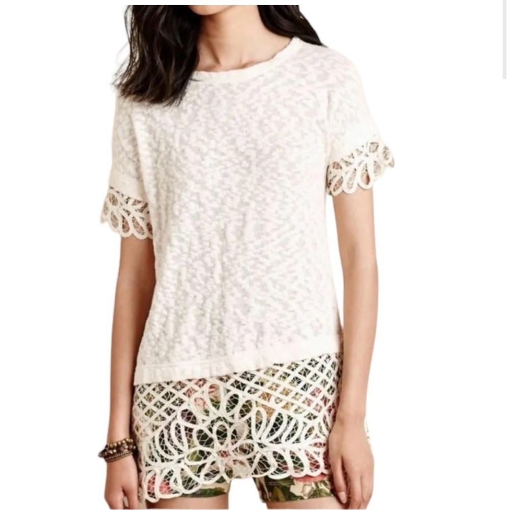 Elegant cream Lace Top tunic